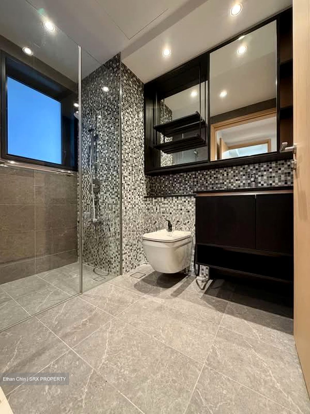 The Antares (D14), Apartment #566368721